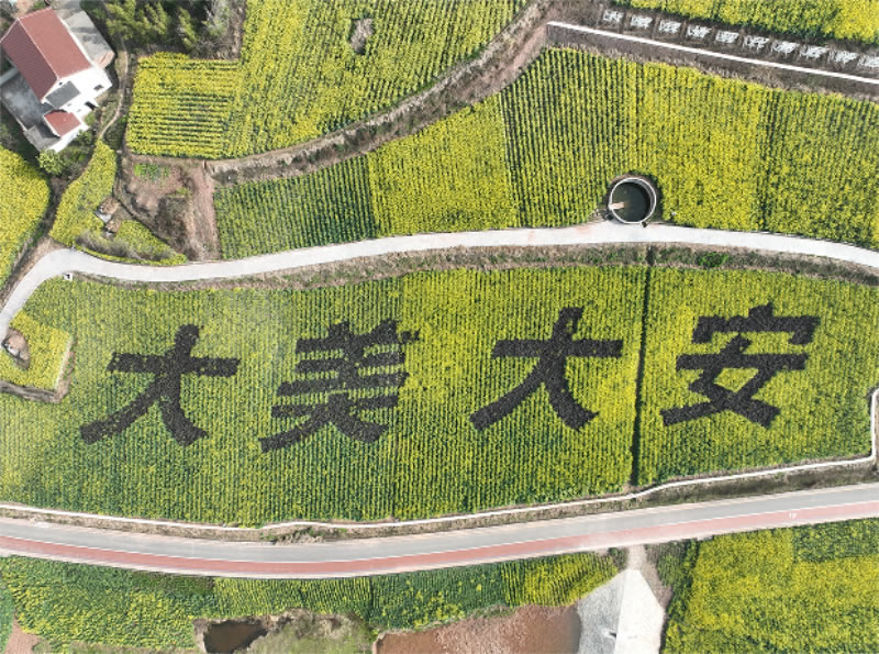 未命名-1.jpg
