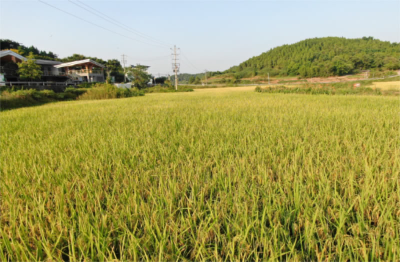 未命名-1.jpg