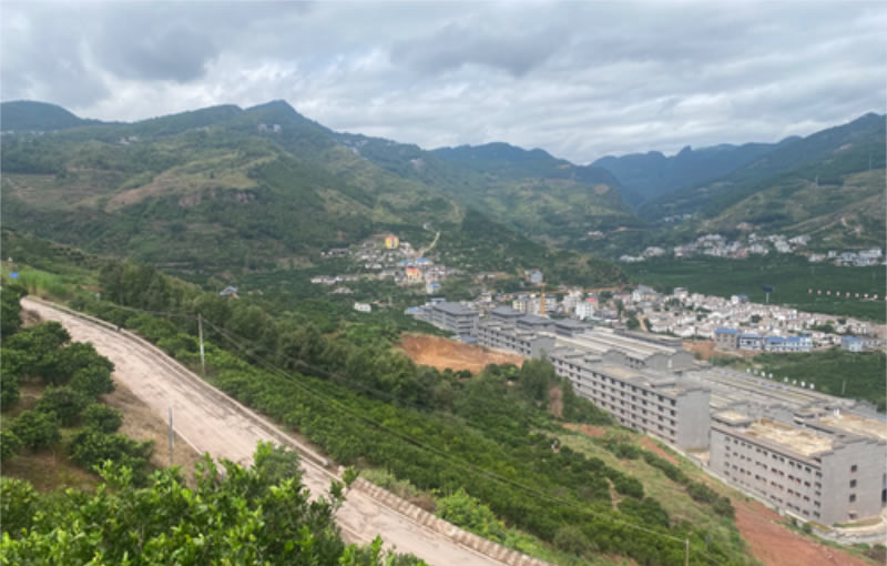 未命名-1.jpg