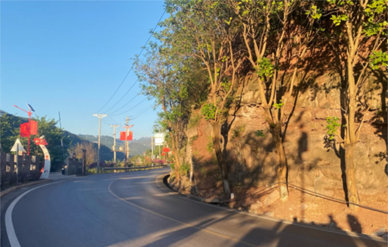 未命名-1.jpg