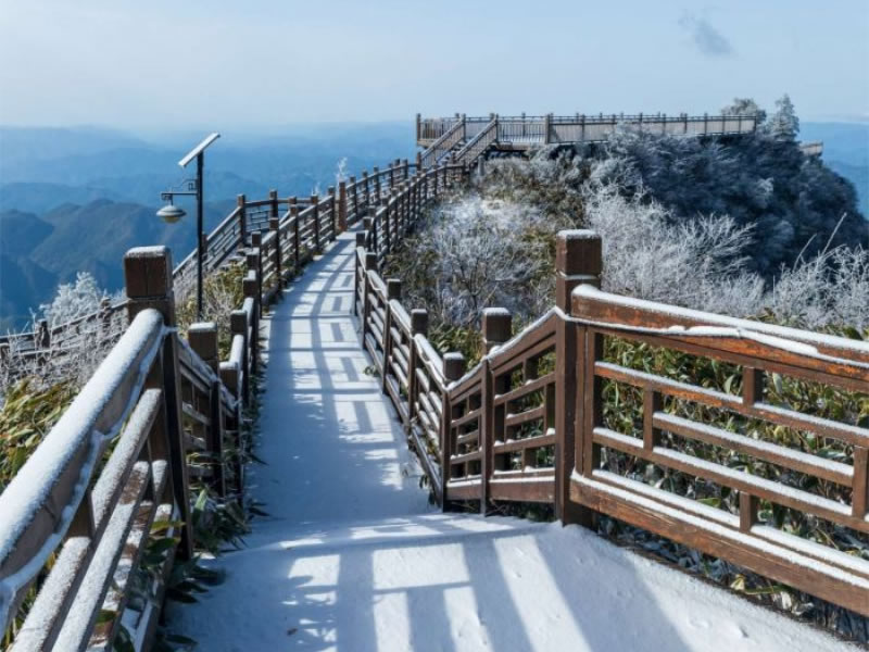未命名-1.jpg