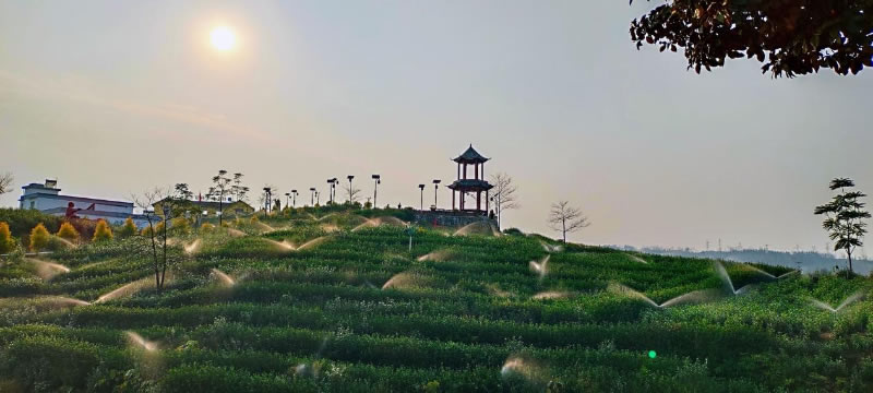 未命名-1.jpg