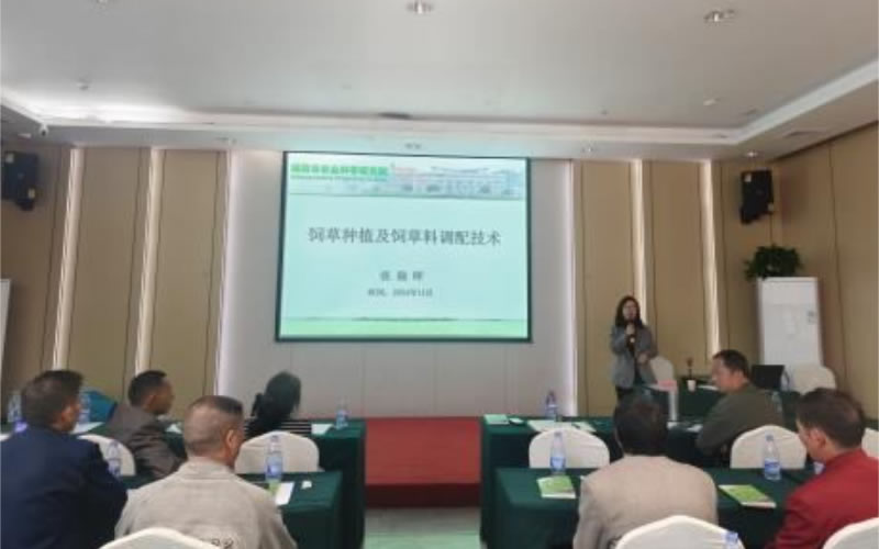 未命名-1.jpg