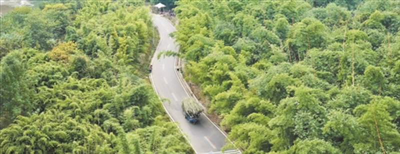 未命名-1.jpg