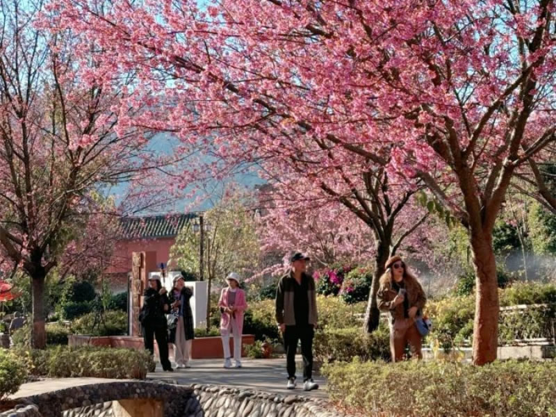 未命名-1.jpg