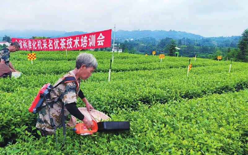 未命名-1.jpg