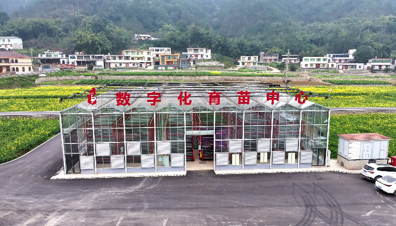 未命名-1.jpg