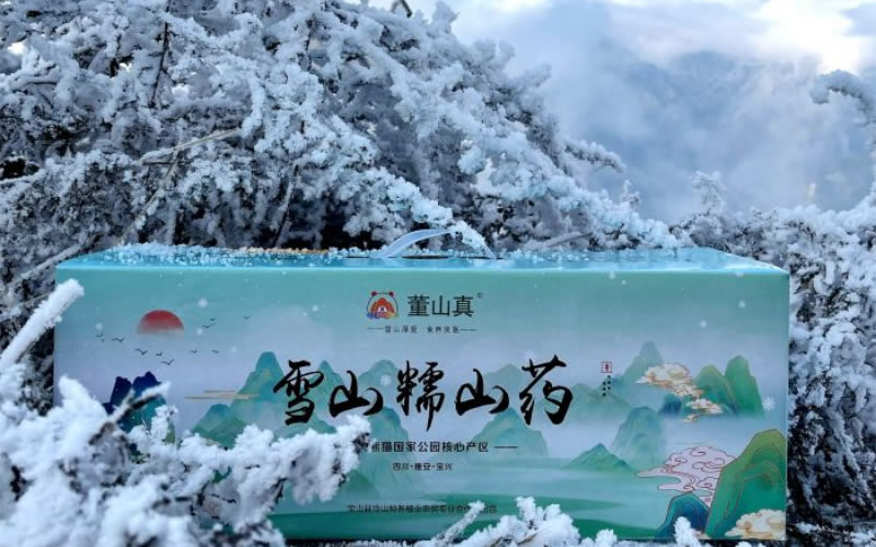 未命名-1.jpg