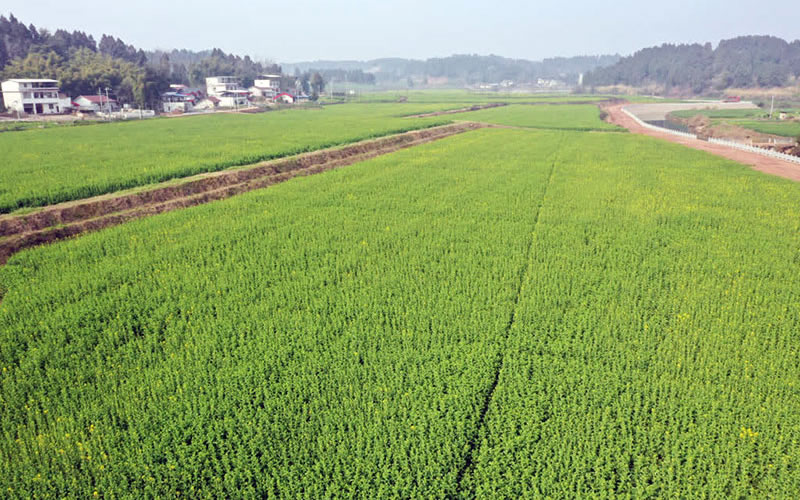 未命名-1.jpg