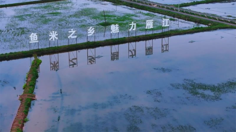 未命名-1.jpg