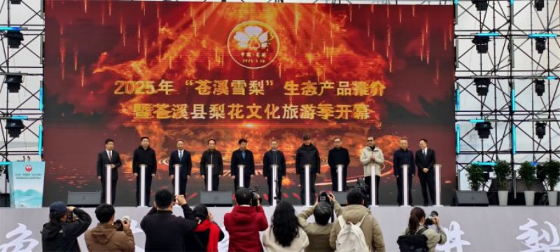 未命名-1.jpg