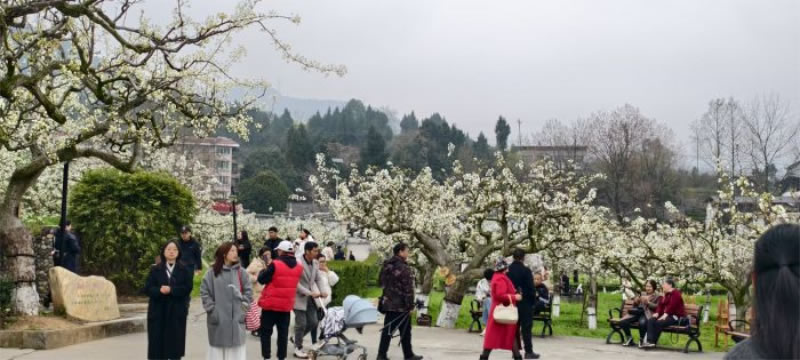 未命名-1.jpg