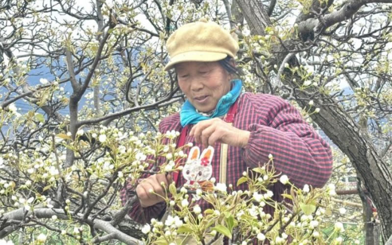 未命名-1.jpg