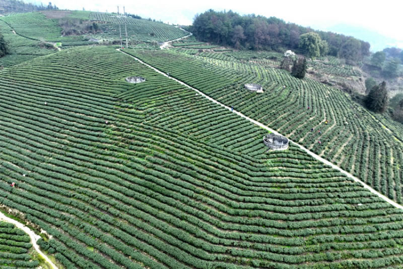 未命名-1.jpg