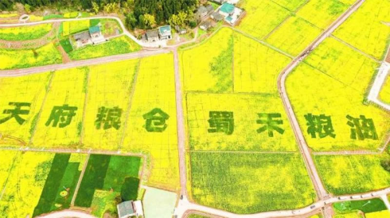 未命名-1.jpg