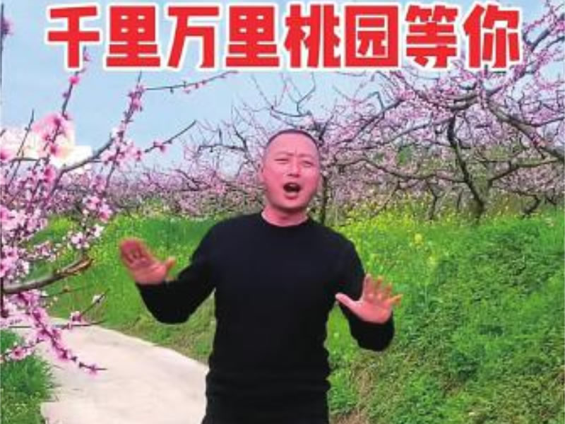 未命名-1.jpg