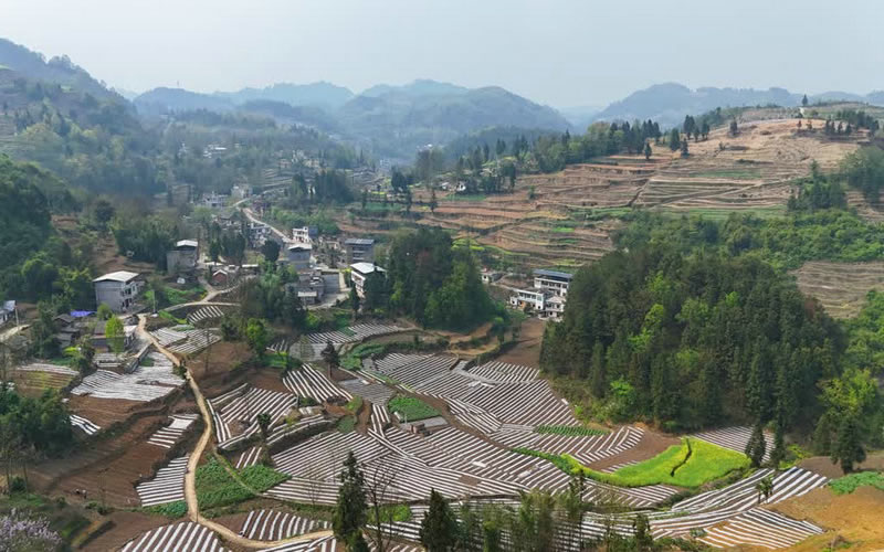 1744777238653517.jpg 未命名-1.jpg