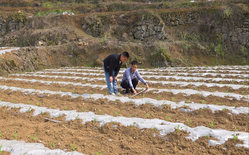 1744777259987441.jpg 未命名-1.jpg