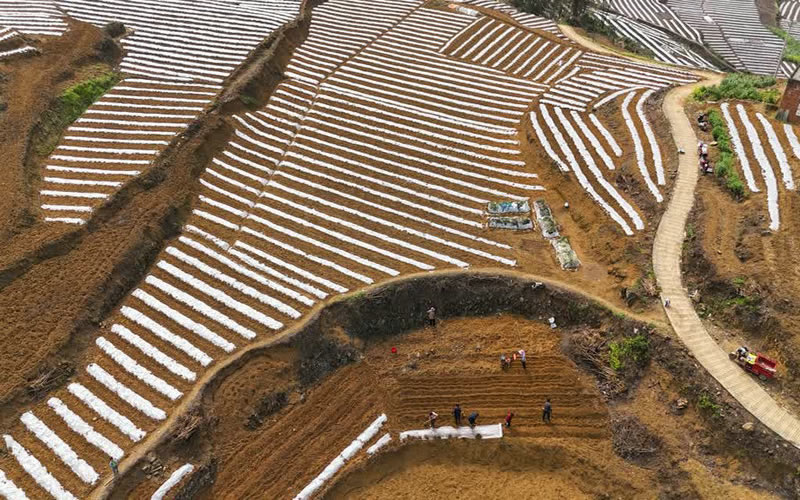 1744777278543350.jpg 未命名-1.jpg