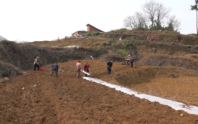 1744777297857154.jpg 未命名-1.jpg