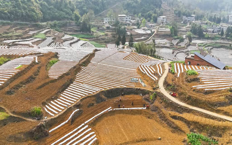 1744777355570680.jpg 未命名-1.jpg