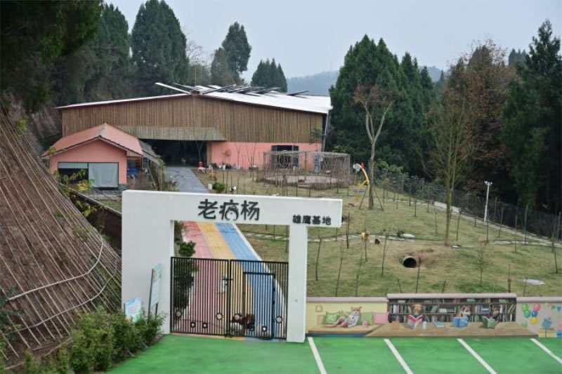 未命名-1.jpg