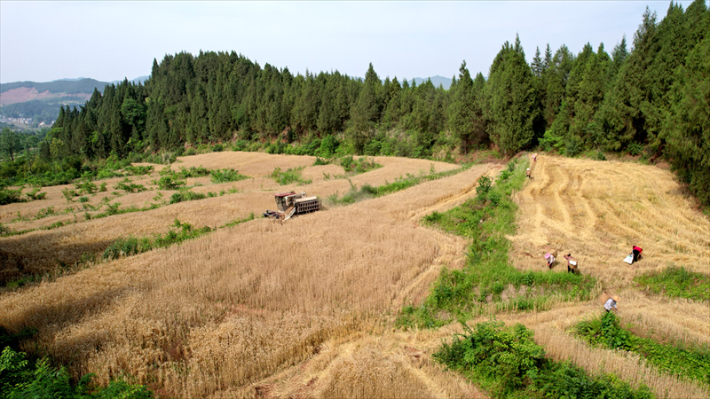 未命名-1.jpg