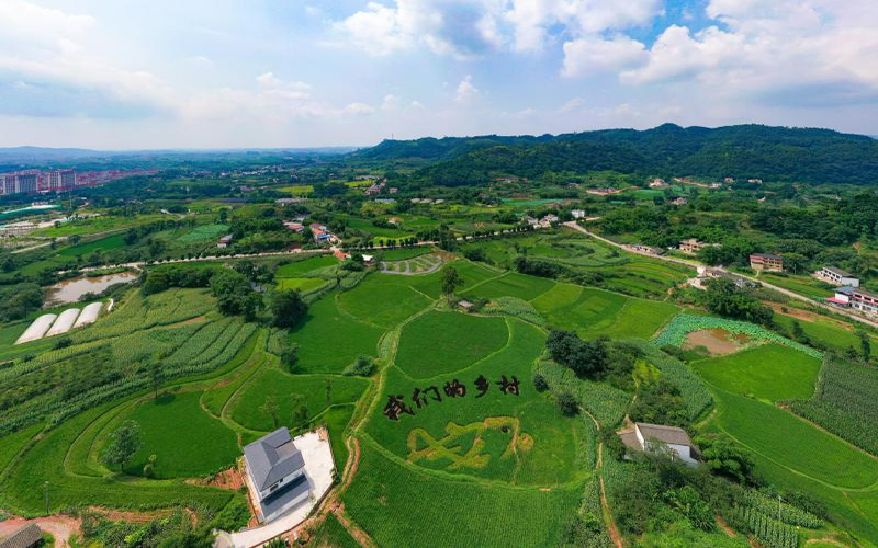 未命名-1.jpg