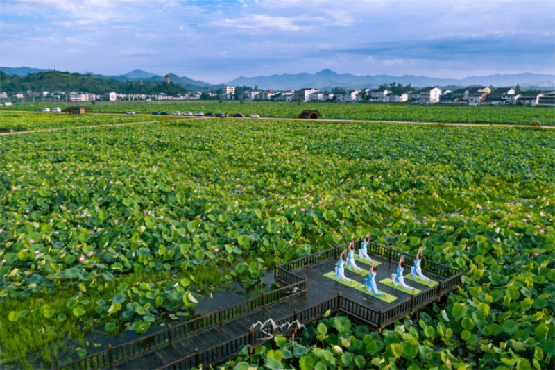 未命名-1.jpg