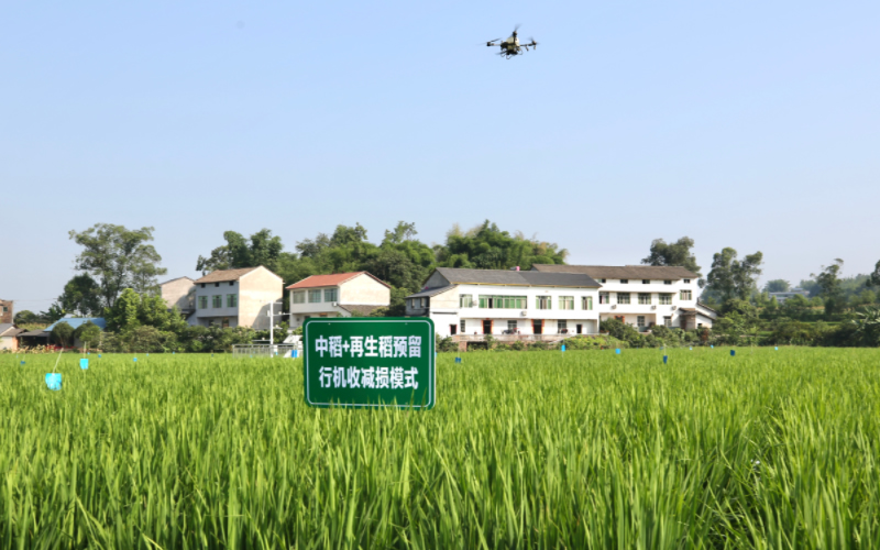 未命名-1.jpg