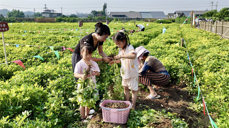 未命名-1.jpg