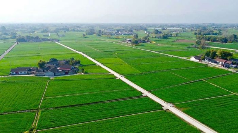 未命名-1.jpg