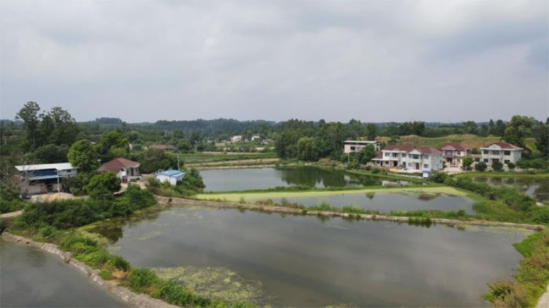 未命名-1.jpg