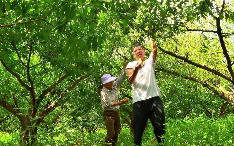 未命名-1.jpg
