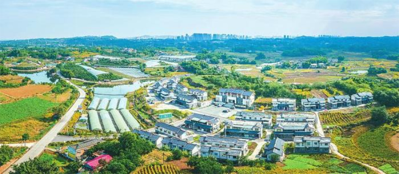 1755571600553166.jpg 未命名-1.jpg