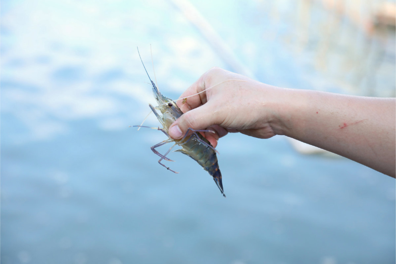 1755672611260450.jpg 未命名-1.jpg