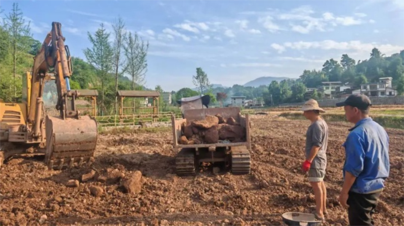 1755673305456799.jpg 未命名-1.jpg