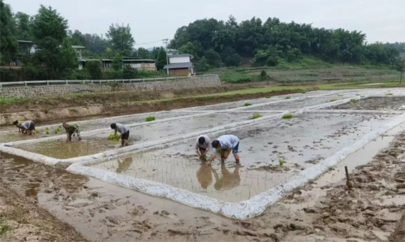 1755673324408408.jpg 未命名-1.jpg