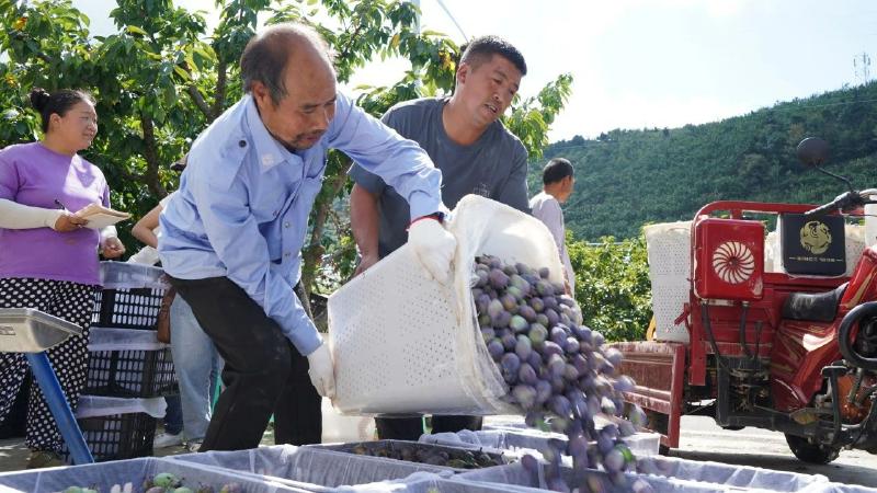 1755739852237911.jpg 8be8183b5aedb9f6e3dbebdac83f3002_7340b66c652d1a27691a38ca0779676b.jpg