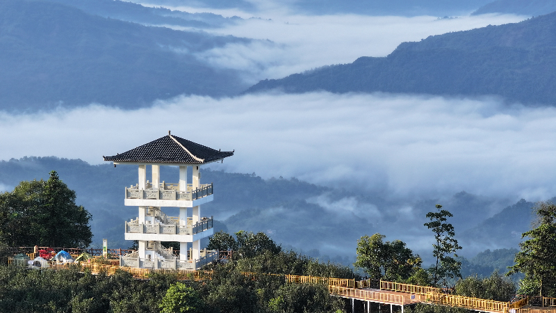 1755760798413352.jpg 未命名-1.jpg