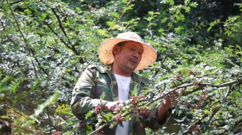 1755829799301926.jpg 未命名-1.jpg