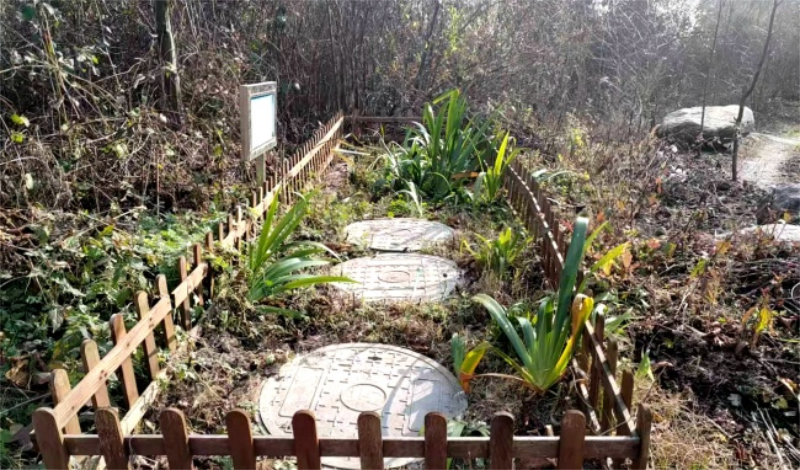 1755844608149096.jpg 未命名-1.jpg