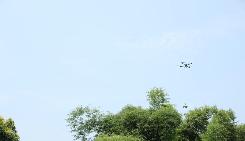 1756172140265144.jpg af9028efa319d83486b60744ed12e247_8dacace37f2b8c1741016c16e823e68d.jpg