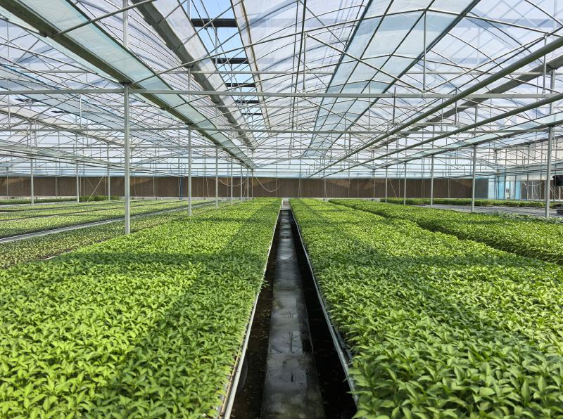 1756259924925869.jpg 0e787bb737aa8c9f3117366ad5b4c0b9_946aa8756cdbfde4ae0450508502a7c7.jpg