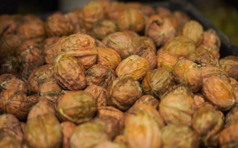 1756260332137694.jpg 未命名-1.jpg