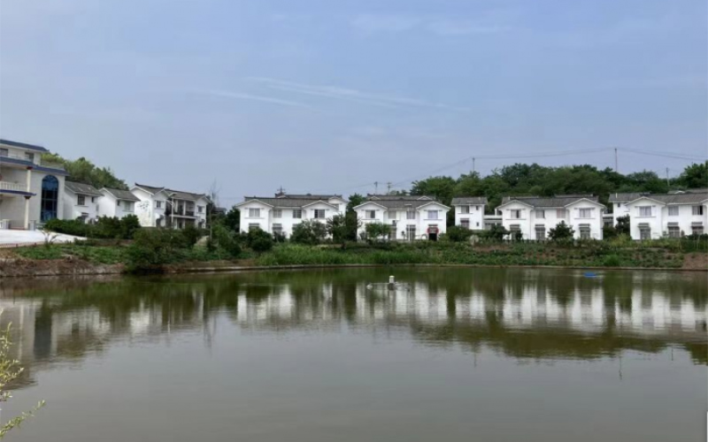 1756262666419531.jpg 未命名-1.jpg