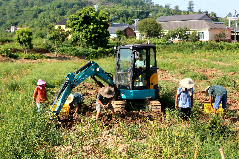 1756277415744427.jpg 未命名-1.jpg