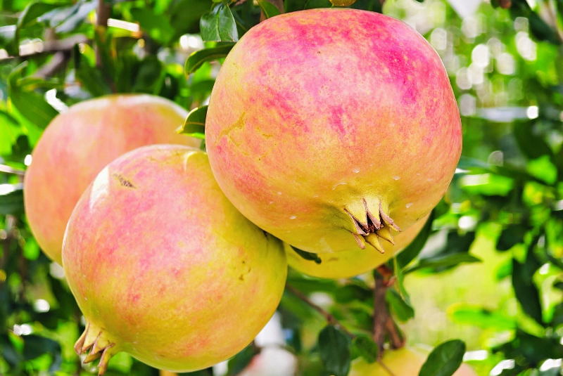 1756346817259947.jpg 未命名-1.jpg