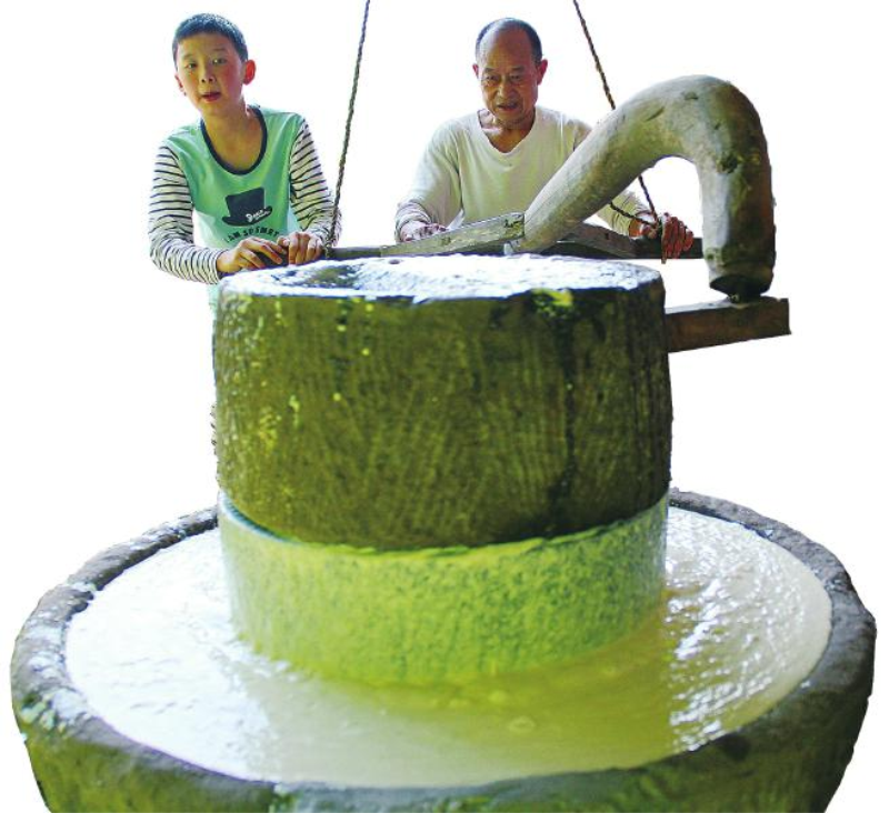 1756432556526917.png image.png