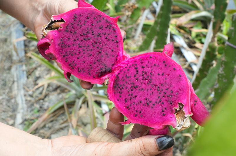 1756684297791634.jpg c940dbaf122fc75f50751a5b346089fd_5909cfe424a147373e4097823ff05f91.jpg